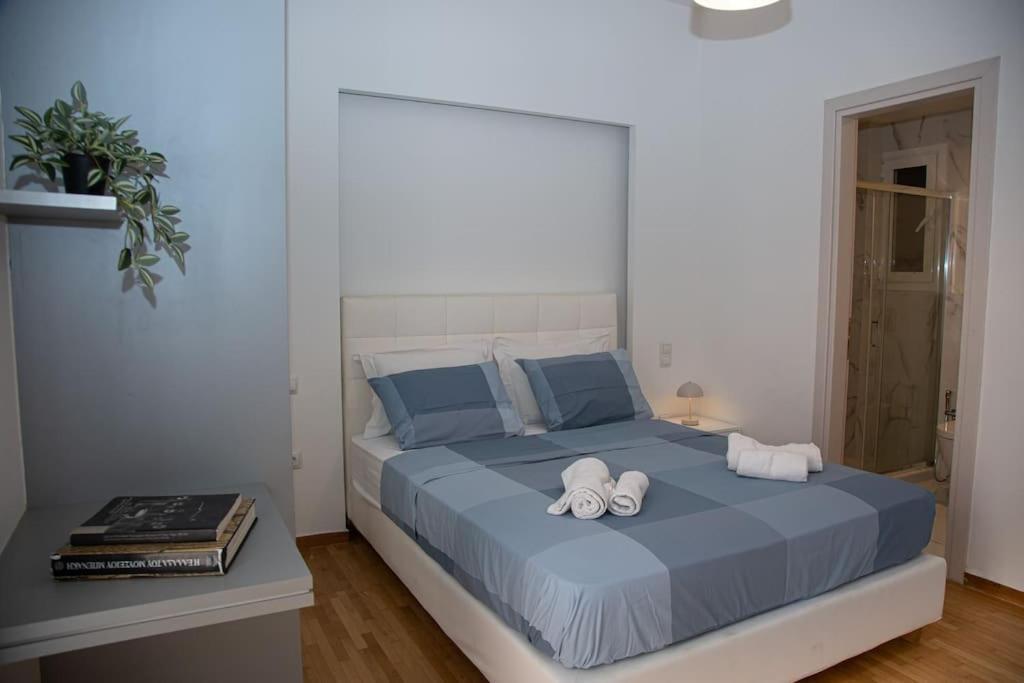Apartment Spacious In Pagkrati *